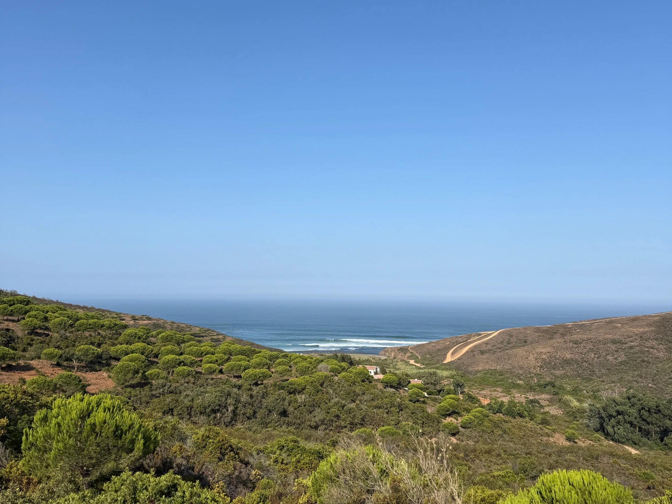 Coastal hills descending toward the ocean under an open sky